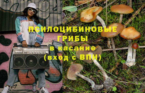 мдпв Арсеньев