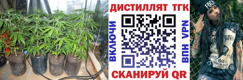 как найти наркотики  Рыбное  Дистиллят ТГК вейп 